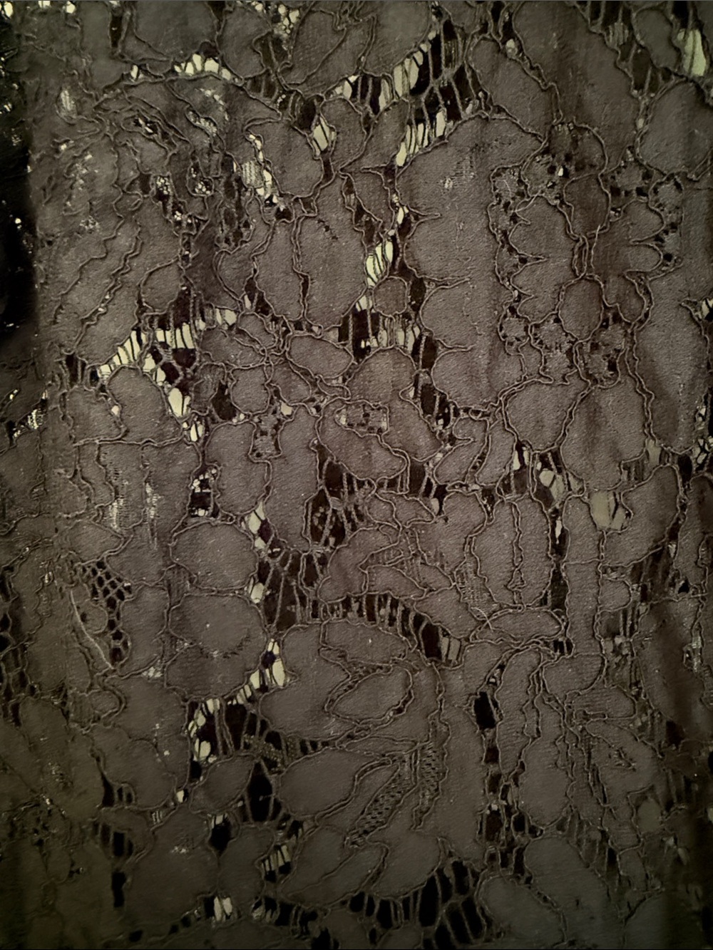 Lord and Taylor Black Floral Lace Button-Up Blouse with White Collar - Picture 2 of 7